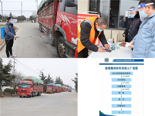 1641783780674055bsgp.jpg 绿能 图片3.jpg