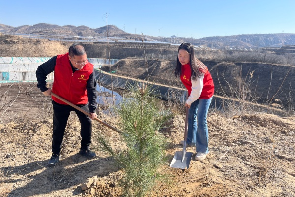 1773282853229630B3ZF.jpg 7.jpg