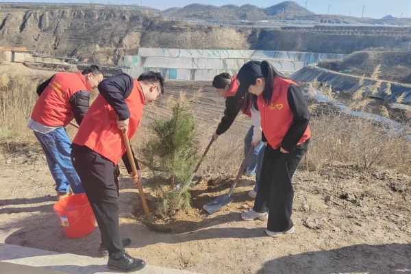 1773282871665915Q7YI.jpg 8.jpg