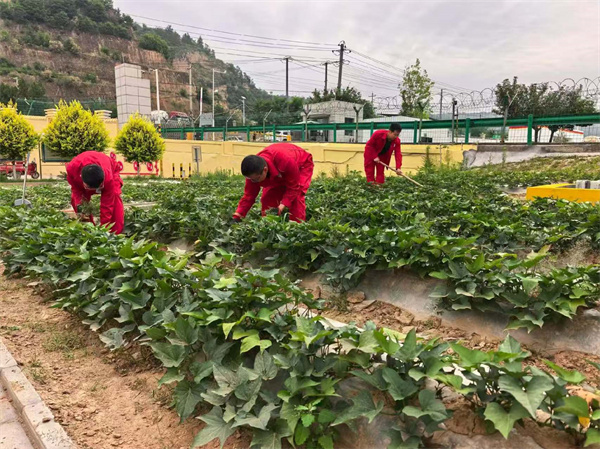 延安环保公司1.jpg