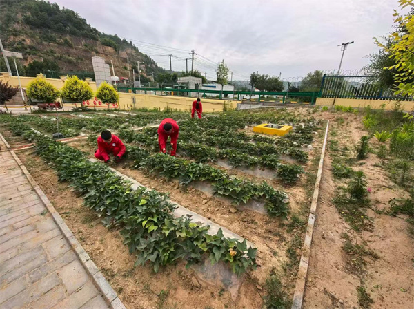 延安环保公司2.jpg
